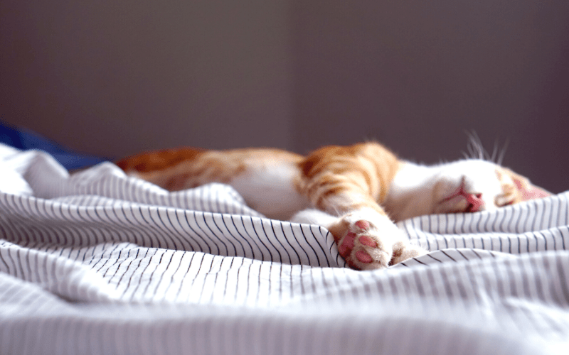 Sommeil sur course a? pied