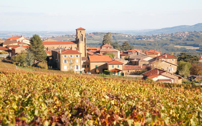 Résultat Marathon du Beaujolais 2022